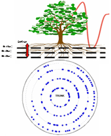 TRU树木雷达检测系统 TRU树木雷达检测系统