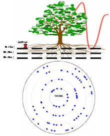 TRU树木雷达检测系统 TRU树木雷达检测系统
