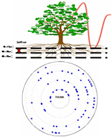 TRU树木雷达检测系统 TRU树木雷达检测系统