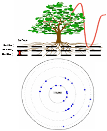 TRU树木雷达检测系统 TRU树木雷达检测系统