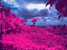 ADC农业多光谱数码相机 ADC农业多光谱数码相机