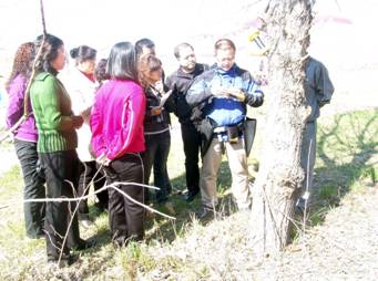 ST300立木品质检测仪应用于大兴安岭职业学院国家林业局948项目 ST300立木品质检测仪应用于大兴安岭职业学院国家林业局948项目