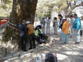 PiCUS应力波树木断层画面成像仪 PiCUS应力波树木断层画面成像仪