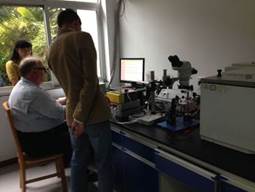 德国Syntech公司总经理Peter Ockenfels博士来访我公司 德国Syntech公司总经理Peter Ockenfels博士来访我公司