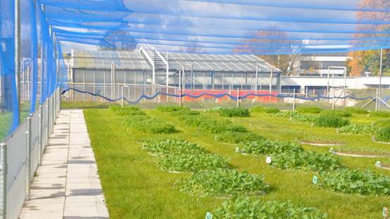 德国UGT厂商来访我司 德国UGT厂商来访我司