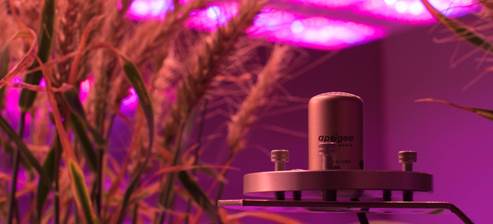 USB接口防水型PAR光量子探头 USB接口防水型PAR光量子探头