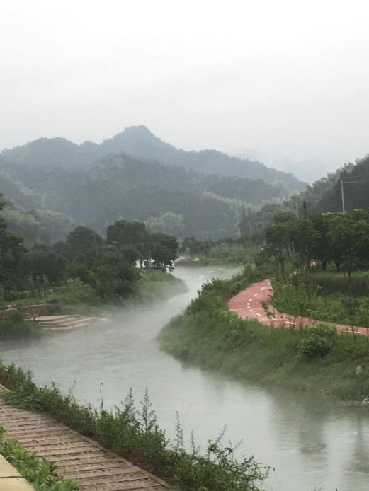 环境监测数据实时展示系统成功部署