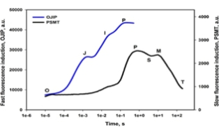 Handy PEA植物效率分析仪