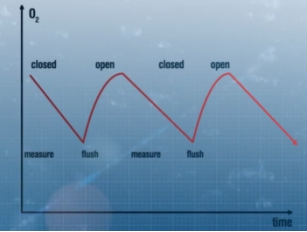 斑马鱼呼吸代谢测量系统 斑马鱼呼吸代谢测量系统
